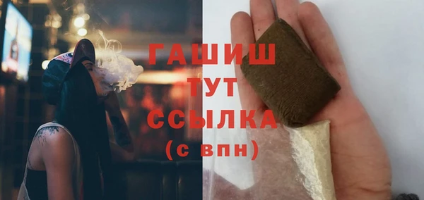 крисы Алзамай
