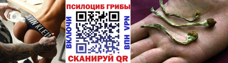 Галлюциногенные грибы мицелий  Кизел 